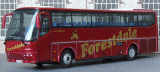FORESTDALE OF CROYDON BOVA FUTURA-45304